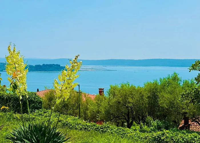 Miramare * Порторож